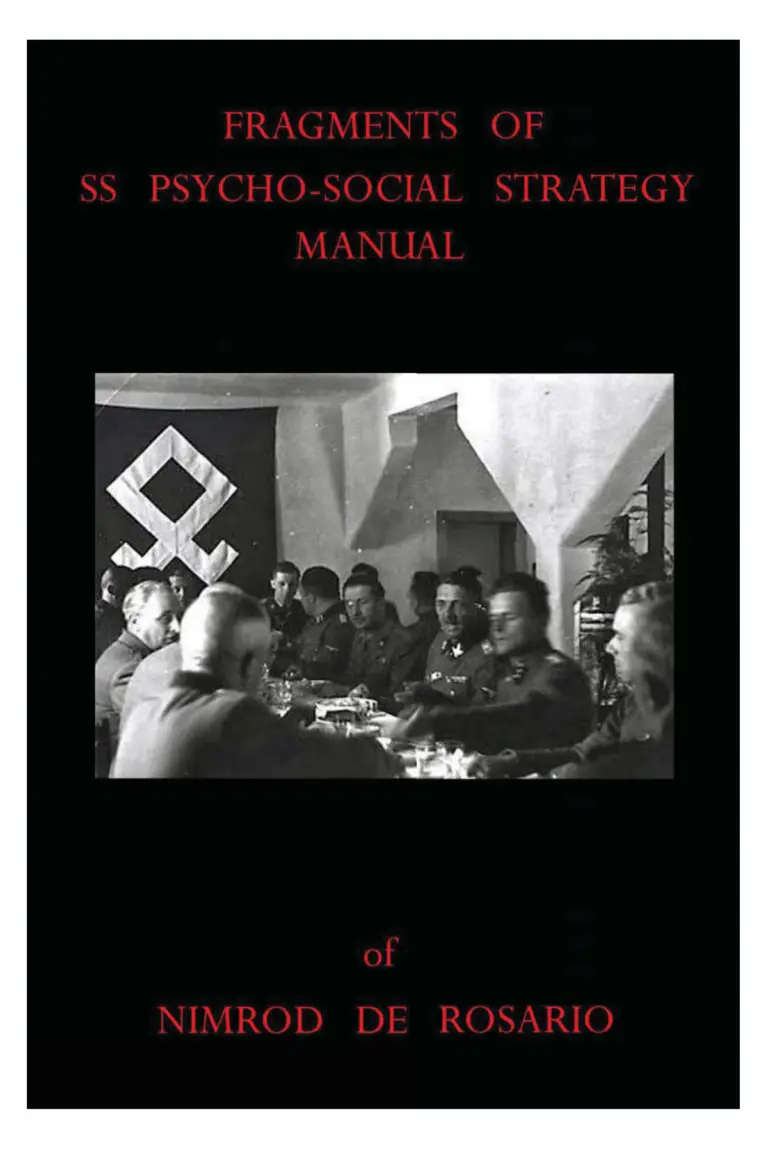 fragments of ss psychosocial strategy manual cover 768x1152